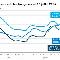 Graphique prix blé orge maïs France au 16 juillet 2025