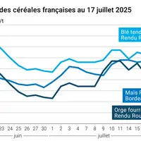 Graphique prix blé orge maïs France au 17 juillet 2025