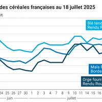 Graphique prix blé orge maïs France au 18 juillet 2025