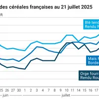 Graphique prix blé orge maïs France du 21 juillet 2025
