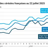 Graphique prix blé orge maïs France du 22 juillet 2025