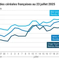 Graphique prix blé orge maïs France du 23 juillet 2025