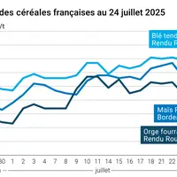 Graphique prix blé orge maïs France du 24 juillet 2025