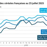 Graphique prix blé orge maïs France du 25 juillet 2025