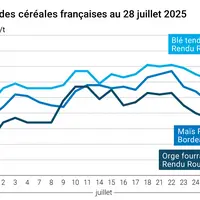 Graphique prix blé orge maïs France du 28 juillet 2025