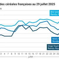 Graphique prix blé orge maïs France du 29 juillet 2025