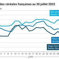 Graphique prix blé orge maïs France du 30 juillet 2025