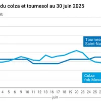 Graphique prix colza tournesol France du 30 juin 2025