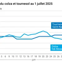 Graphique prix colza tournesol France du 1er juillet 2025