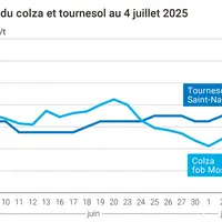 Graphique prix colza tournesol France du 4 juillet 2025