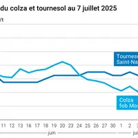 Graphique prix colza tournesol France du 7 juillet 2025