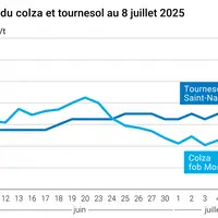 Graphique prix colza tournesol France du 8 juillet 2025