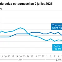 Graphique prix colza tournesol France au 9 juillet 2025