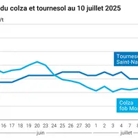 Graphique prix colza tournesol soja France au 10 juillet 2025