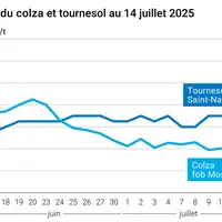 Graphique prix colza tournseol France au 14 juillet 2025