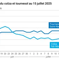 Graphique prix colza tournesol France du 15 juillet 2025