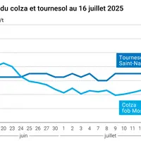 Graphique prix colza tournesol France au 16 juillet 2025