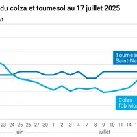 Graphique prix colza tournesol France au 17 juillet 2025