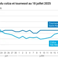 Graphique prix colza tournesol France au 18 juillet 2025