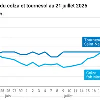 Graphique prix colza tournesol France du 21 juillet 2025