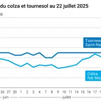 Graphique prix colza tournesol France du 22 juillet 2025