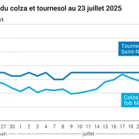 Graphique prix colza tournesol France du 23 juillet 2025