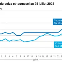 Graphique prix colza tournesol France du 25 juillet 2025