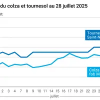 Graphique prix colza tournesol France du 28 juillet 2025