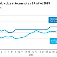 Graphique prix colza tournesol France du 29 juillet 2025