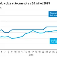 Graphique prix colza tournesol France du 30 juillet 2025