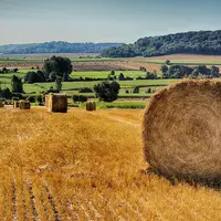 Meule de paille dans un champ moissonné à la campagne.