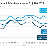 Graphique prix blé orge maïs France du 31 juillet 2025