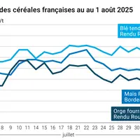 Graphique prix blé orge maïs France du 1er août 2025