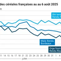 Graphique prix blé orge maïs France du 6 août 2025