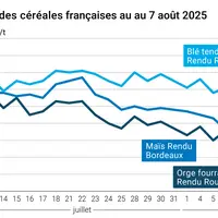 Graphique prix blé orge maïs France du 7 août 2025