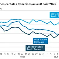 Graphique prix blé orge maïs France du 8 août 2025
