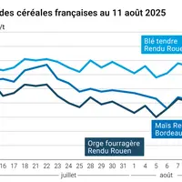 Graphique prix blé orge maïs France du 11 août 2025