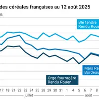 Graphique prix blé orge maïs France du 12 août 2025