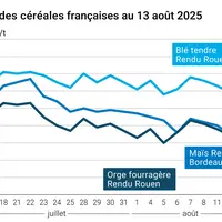 Graphique prix blé orge maïs France du 13 août 2025