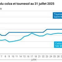 Graphique prix colza tournesol France du 31 juillet 2025