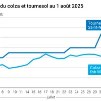 Graphique prix colza tournesol France du 1er août 2025