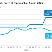 Graphique prix colza tournesol France du 5 août 2025