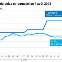 Graphique prix colza tournesol France du 7 août 2025