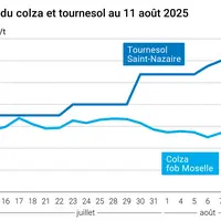 Graphique prix colza tournesol France du 11 août 2025