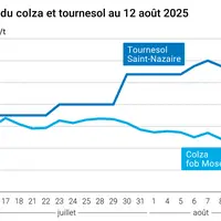 Graphique prix colza tournesol France au 12 août 2025