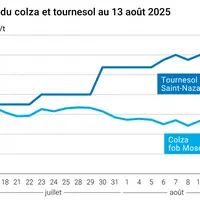Graphique prix colza tournesol France au 13 août 2025