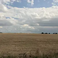 champ moissonné, avec éolienne au loin, Creuse, août 2025