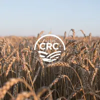 logo CRC sur champ de céréales à paille