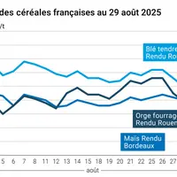 Graphique prix blé orge maïs France au 29 août 2025