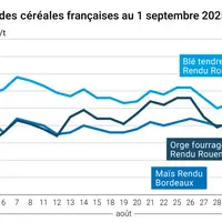 Graphique prix blé orge maïs France du 1er septembre 2025